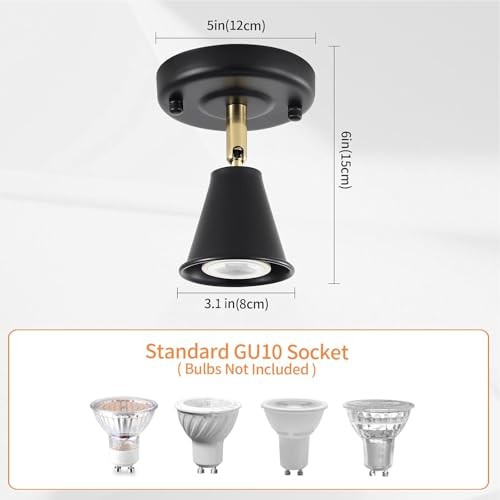 Modern Flush Mount Ceiling Spot Light, Adjustable Directional 1 light (2 pack)