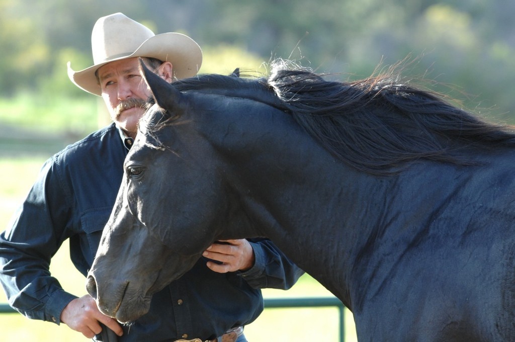 Parelli Patterns - On Line Patterns - NATURAL HORSEMANSHIP EQUINE TRAINING NICE