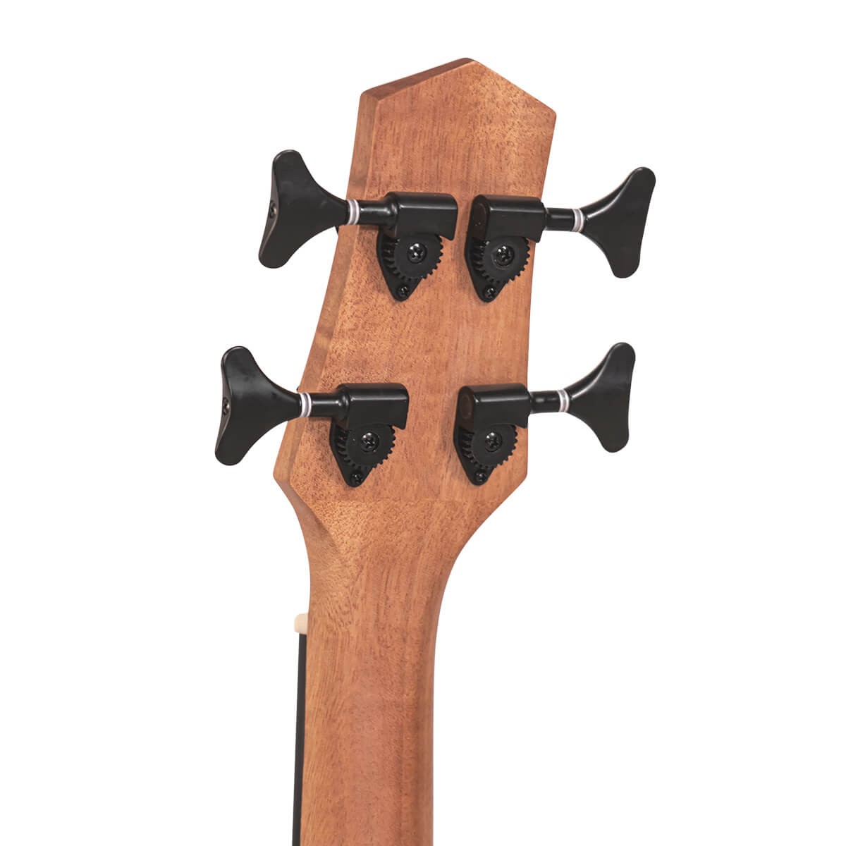 Gold Tone M-Bass25FL | New | Authorized Dealer