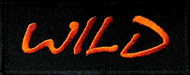 WILD MOTORCYCLE KIDS FUNNY VEST EMBROIDERED IRON ON PATCH B-20