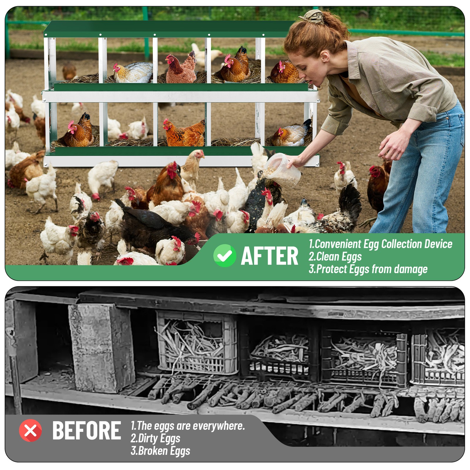 10 Holes Chicken Nesting Box, Metal Chicken Nesting Boxes, without Bracket Legs