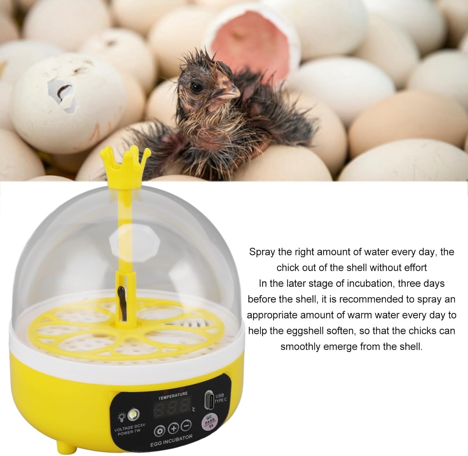 Mini Egg Incubator with Automatic Temperature Humidity Control, Transparent L...