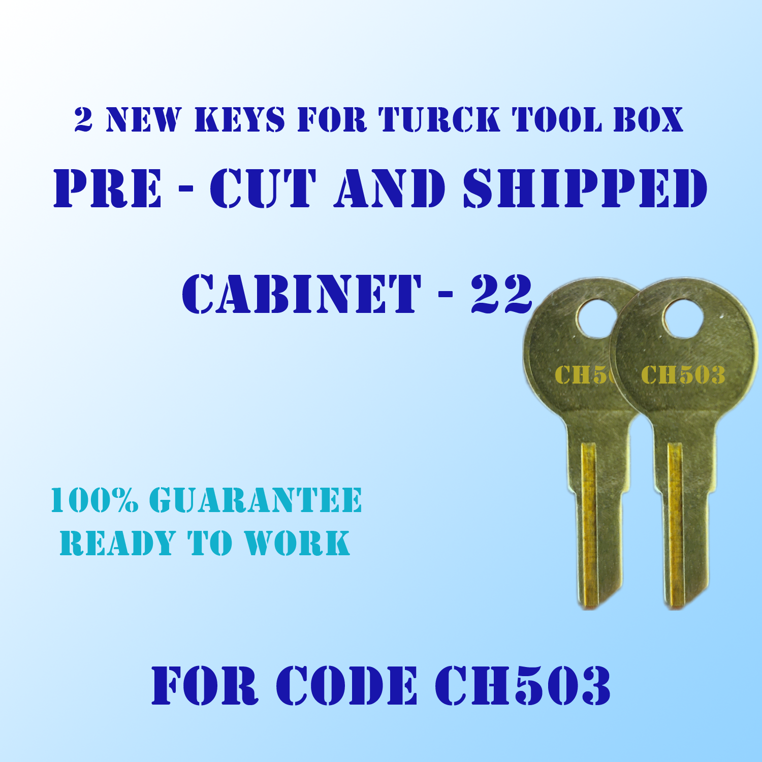 CH503. 2 Replacement keys for Truck Tool box locks, Pre cut to your code: CH503