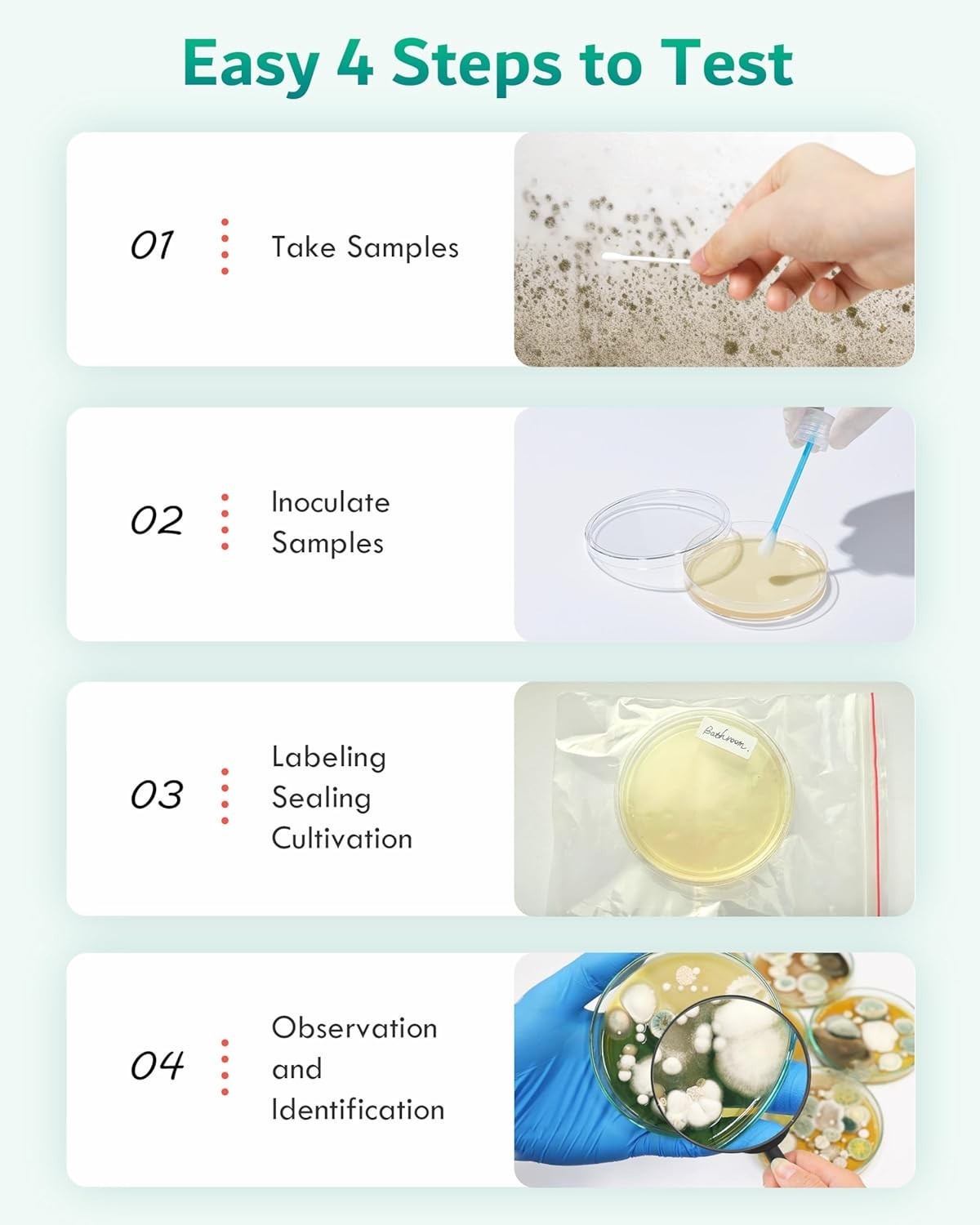 8 Mold Kit for DIY Home Detection - Air Quality & Surface Testing Made Easy