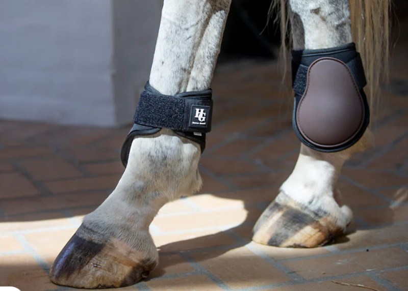 HG Fetlock Boots (Hind Legs)