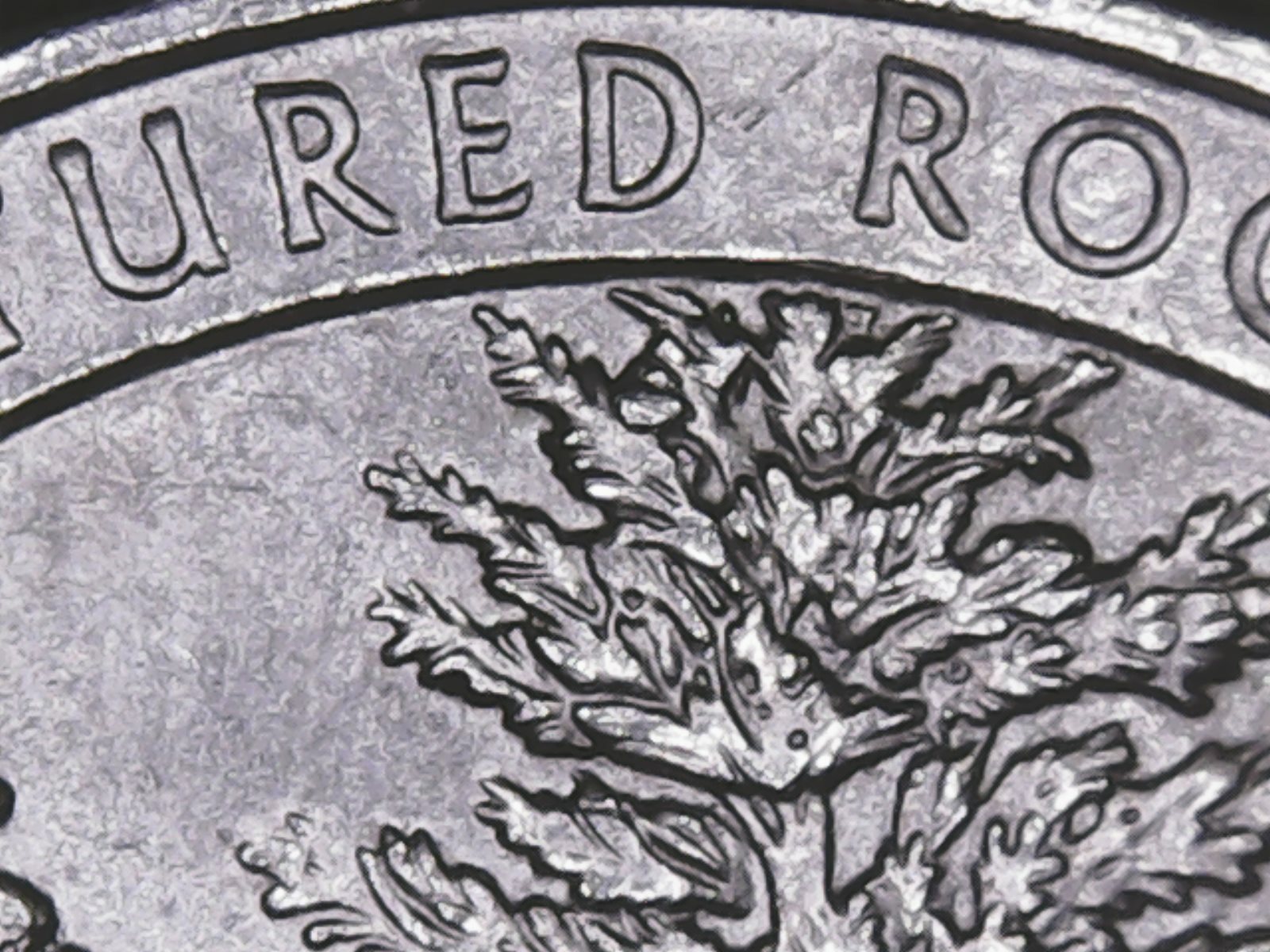 2018 p Pictured Rock ATB Quarter with Die Chips.