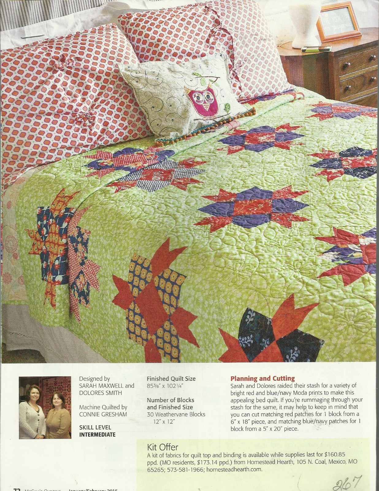 E0772  BERRIES & LIME QUILT PATTERN/INSTRUCTIONS