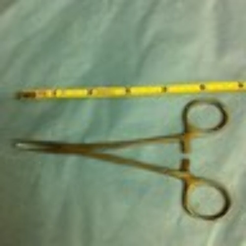 Lot of 2 Columbia Forceps Hemostatic Curved 5.5" Stainless Great Cond.