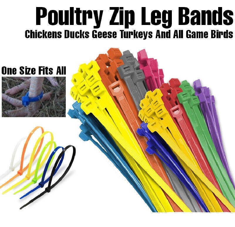 100pcs Zip Leg Bands Mix Colors for Poultry Chick Chickens Ducks Geese Turkeys