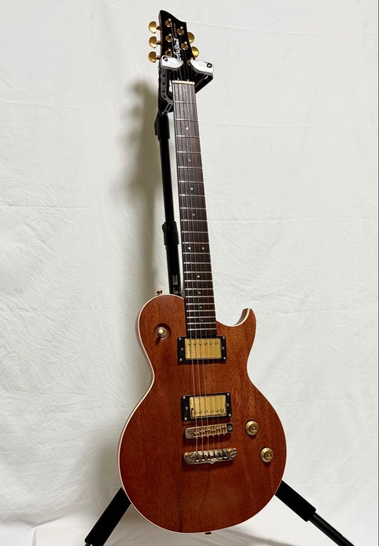 Aria Pro II Electric Guitar PE-MAHOⅡ/G New Strings Installed