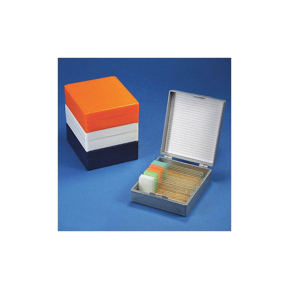 GLOBE SCIENTIFIC Microscope Slide Box,White 55FH58