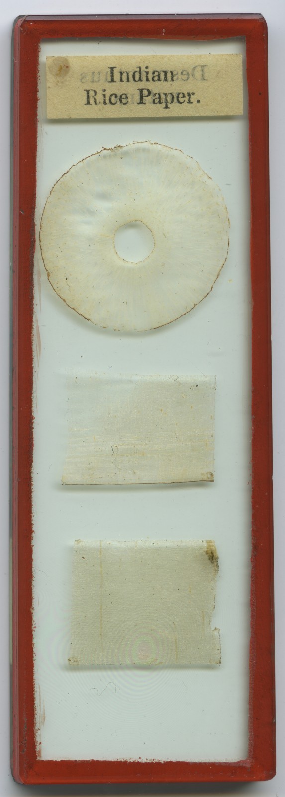 Antique Microscope Slide by Pritchard - Rice Paper - Red Wax between 2 slides