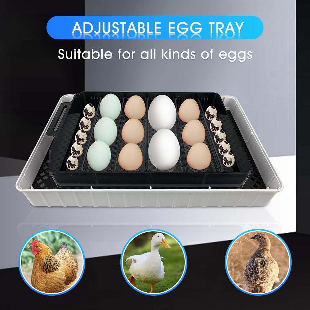 Automatic Egg Incubator for Hatching Eggs: Egg Incubator with Automatic Egg T...
