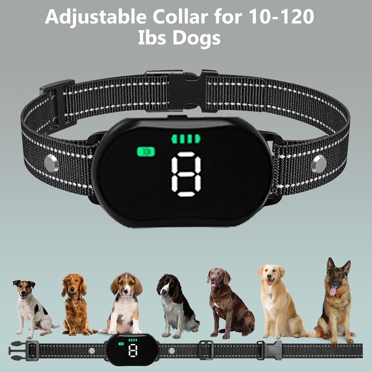 KIP Dog Training Collar with Deterrent Device, Waterproof E-Collar