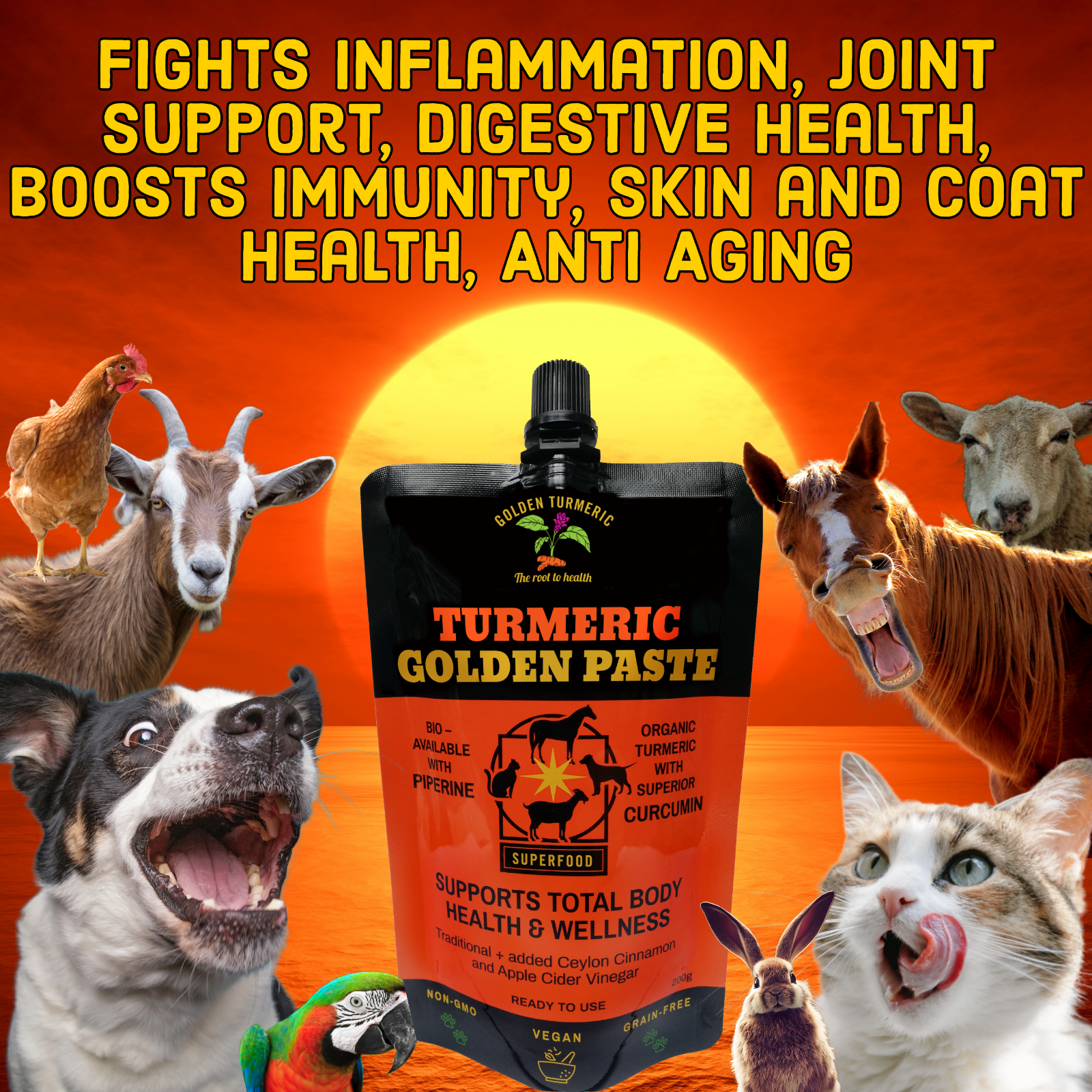 Turmeric Golden Paste - Pets