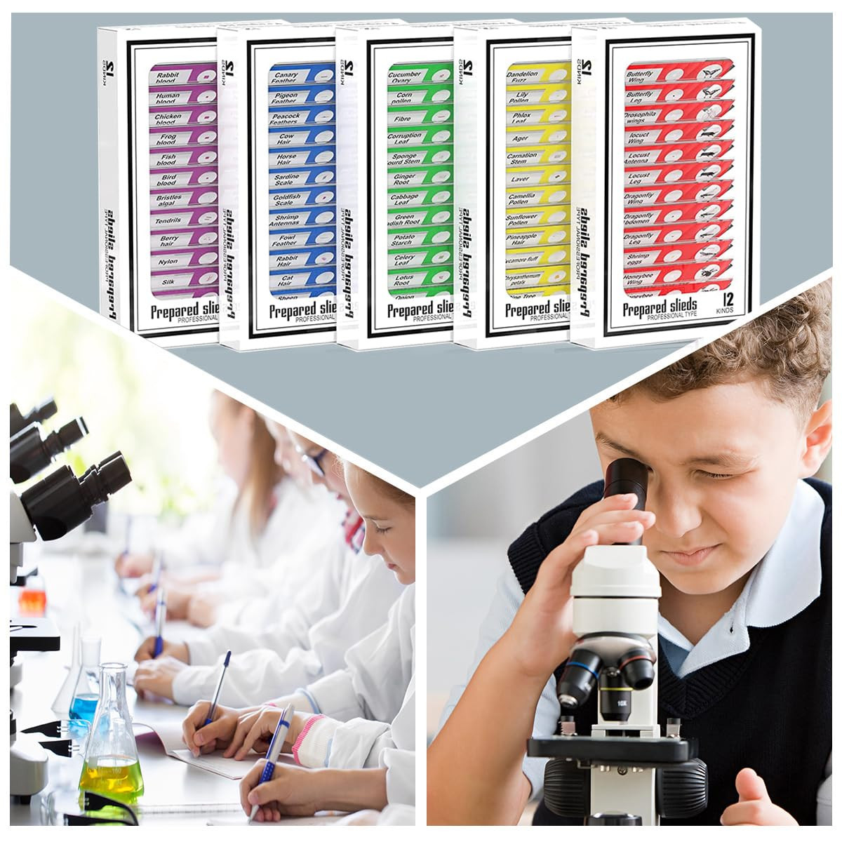 Plastic Prepared Microscope Slides for Kids, 60pcs Animals Insects Plants Flowe