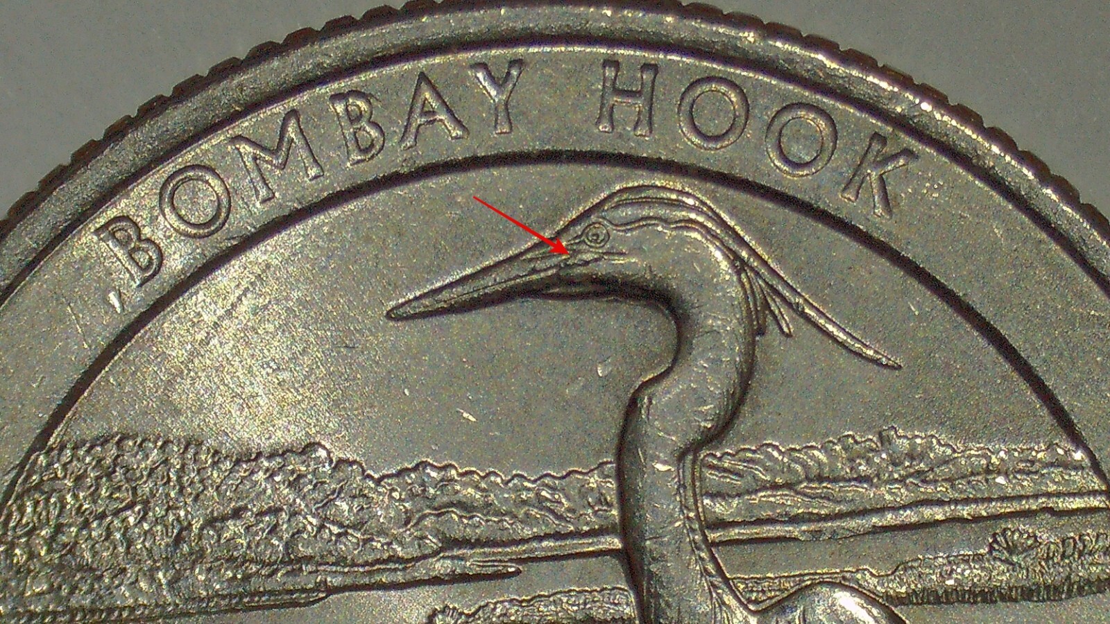 2015 P Delaware Bombay Hook National Park Quarter   DIE CHIP ON BEAK Error