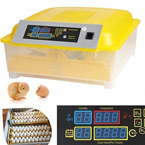 Automatic Egg Bird Incubator  48 Eggs Poultry Hatcher Breeder Egg Turning 110V