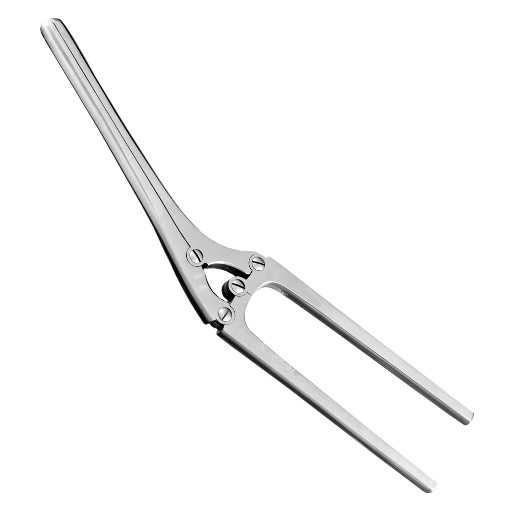 Payr Pylorus Clamp, 6", Premium German Stainless