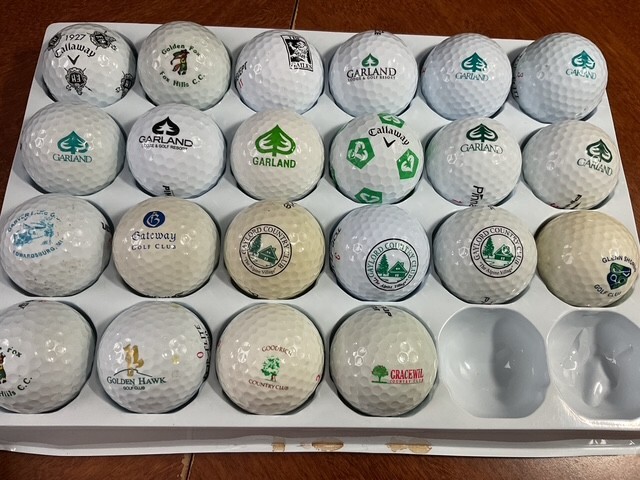 MICHIGAN G GOLF COURSE: LOGO BALLS