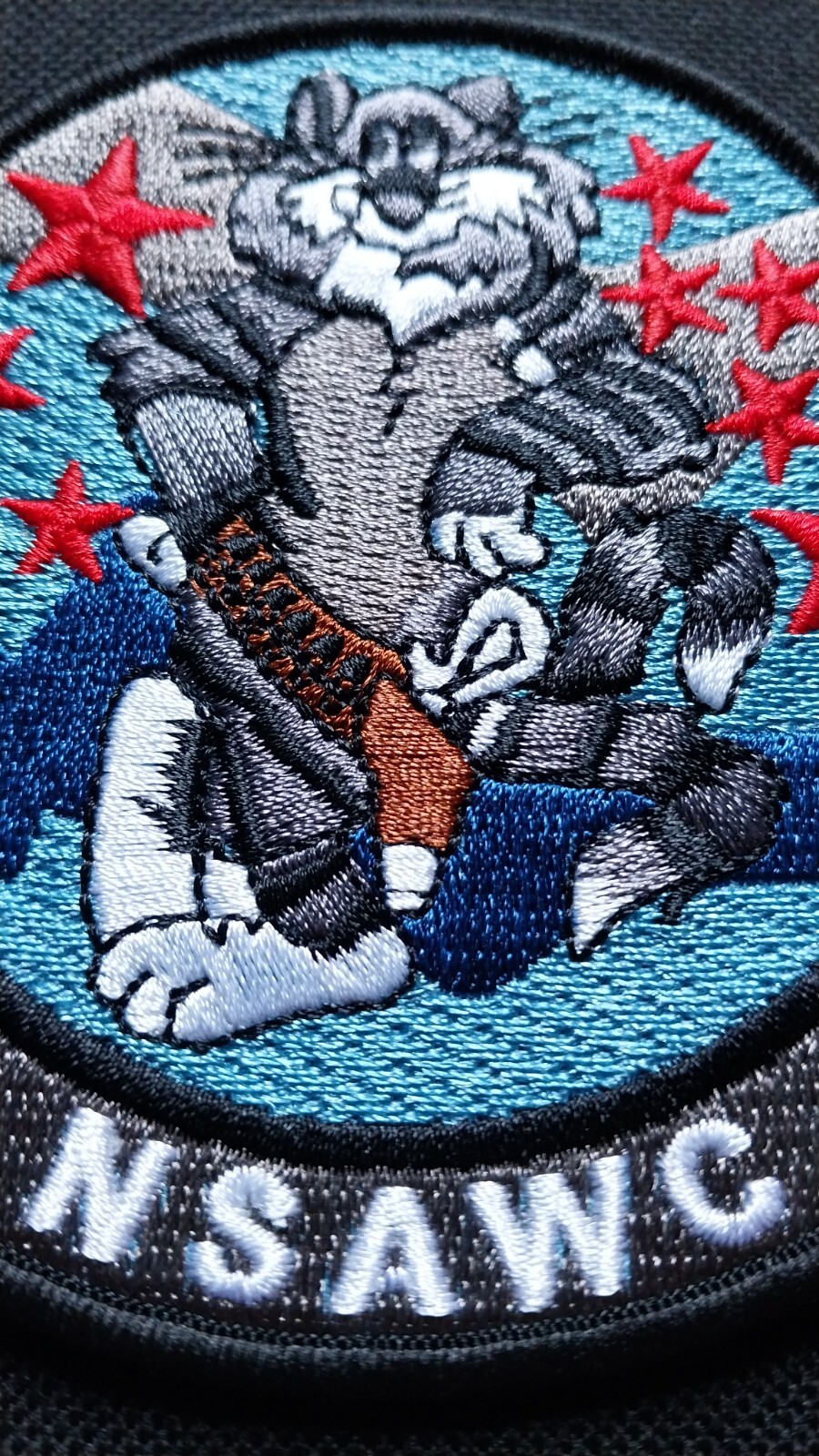 TOMCAT PATCH ~ NSAWC ~ Naval Strike and Warfare Center ~ US Military Navy Patch