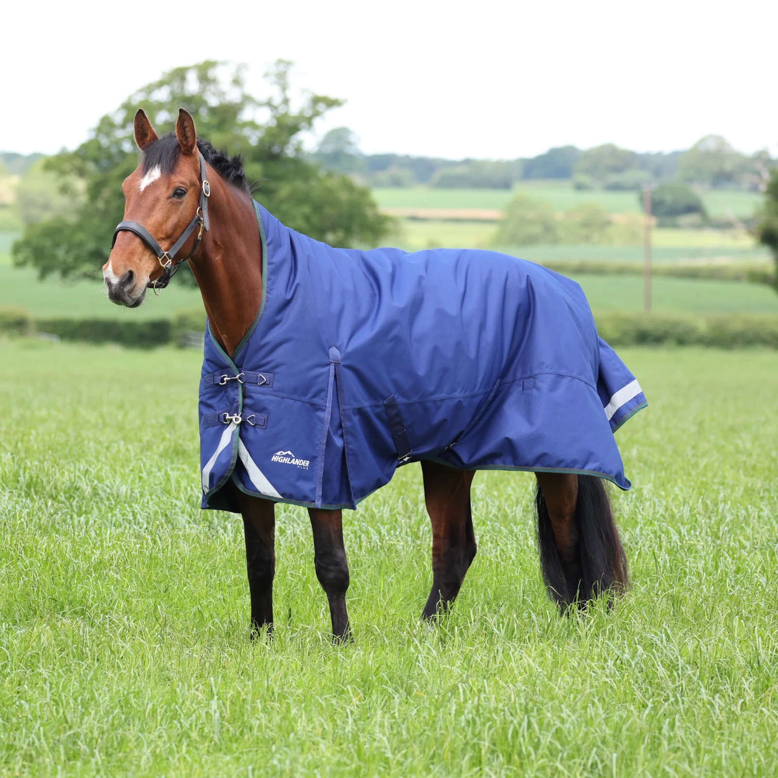 SHIRES EQUESTRIAN HIGHLANDER PLUS 200 GRAM HIGH NECK(SIZE 75")(BRAND NEW)