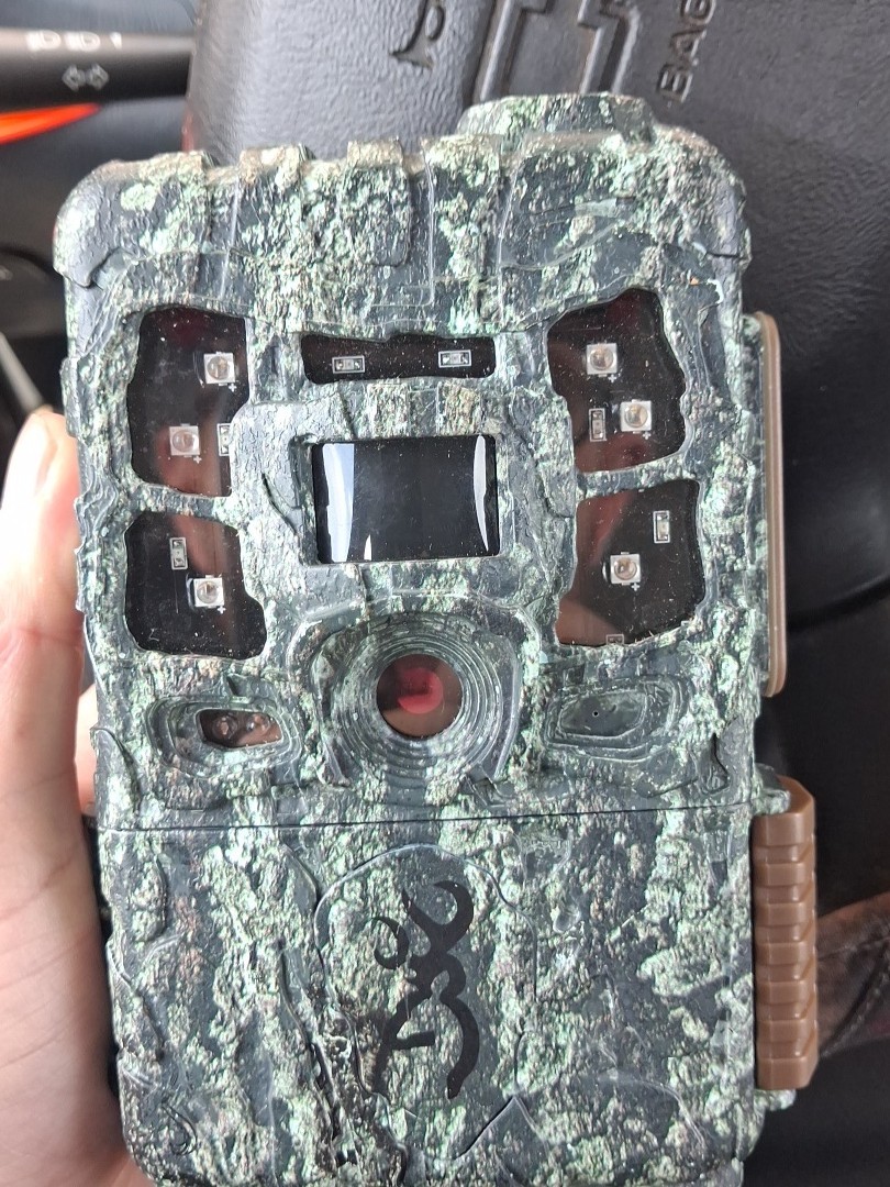 trail cameras browning and moultrie
