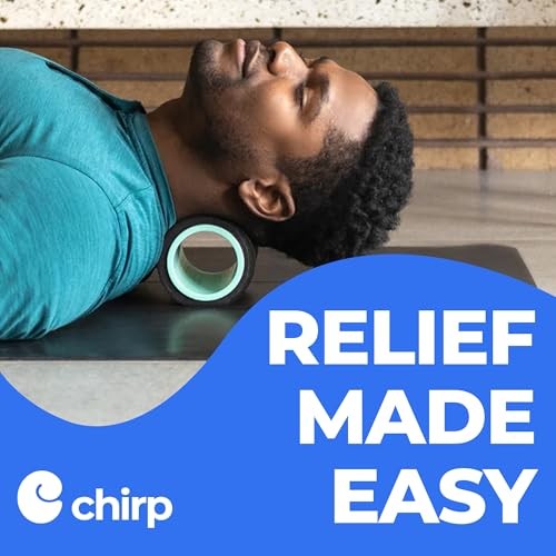 Wheel Foam Roller – Targeted Back & Neck Relief, Lumbar Spine 4" - Focus