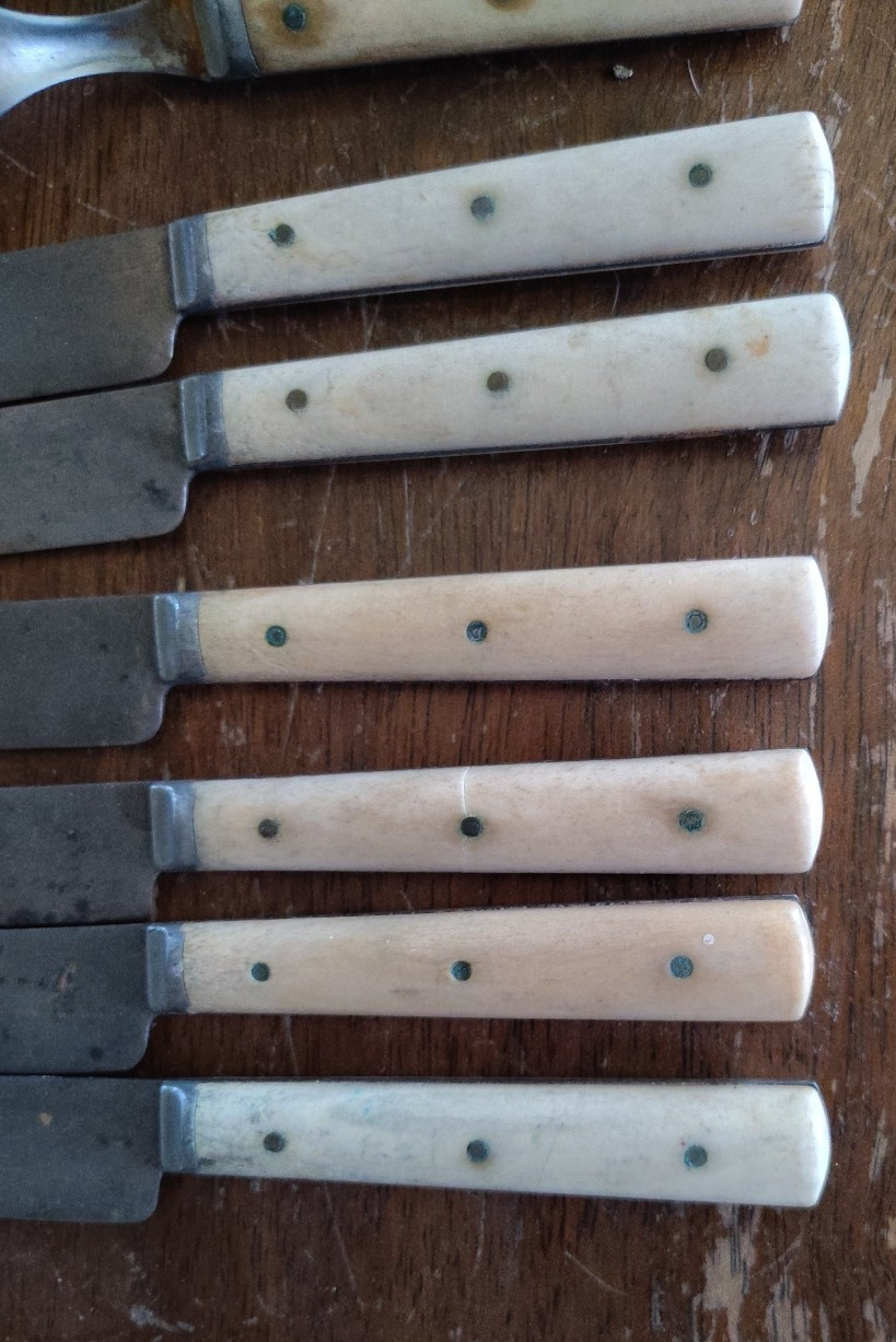 VTG Bone Handle Knife & Fork Set 12 Total Unbranded