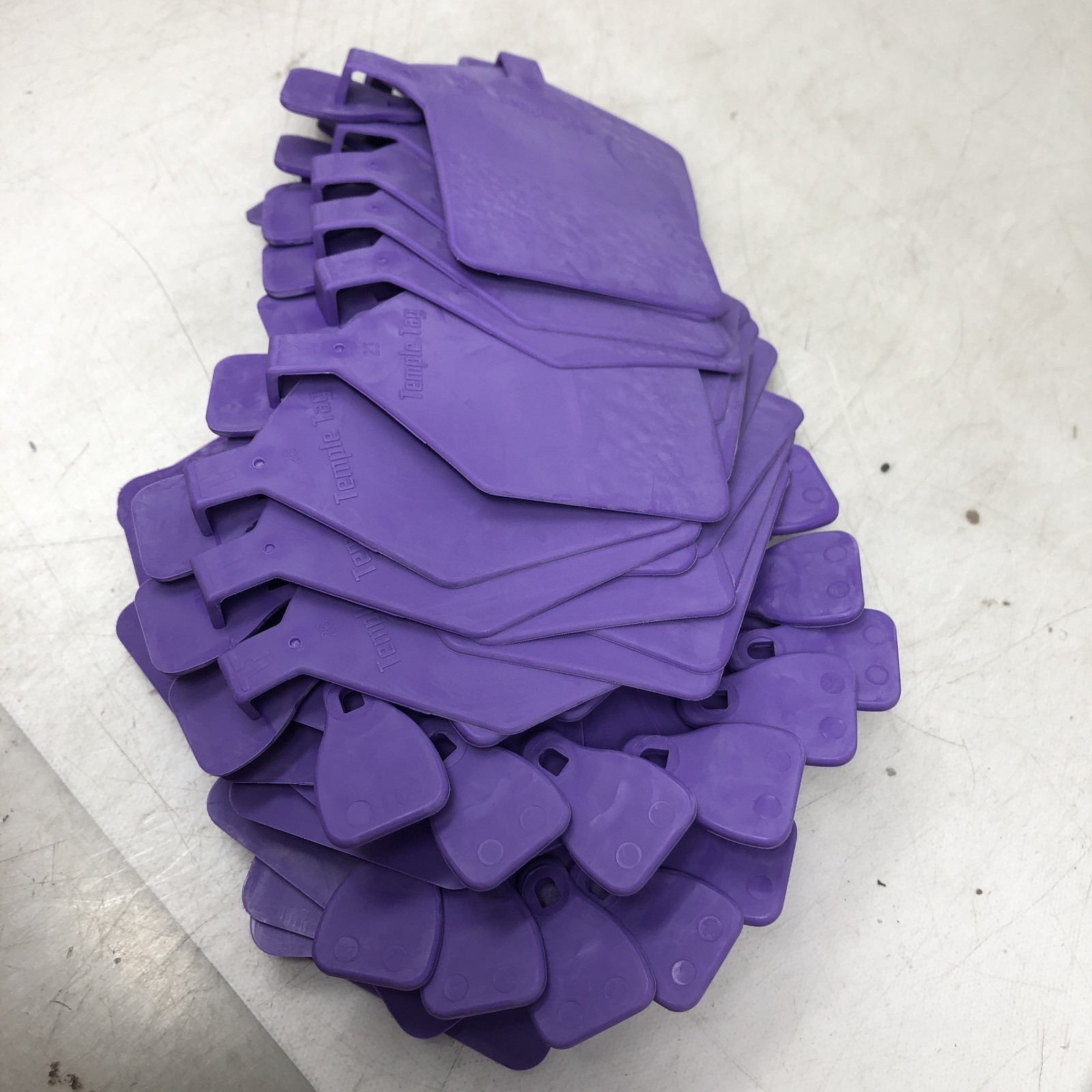 Temple Tag Feedlot Blank Cattle Ear Tags 50 Count Purple