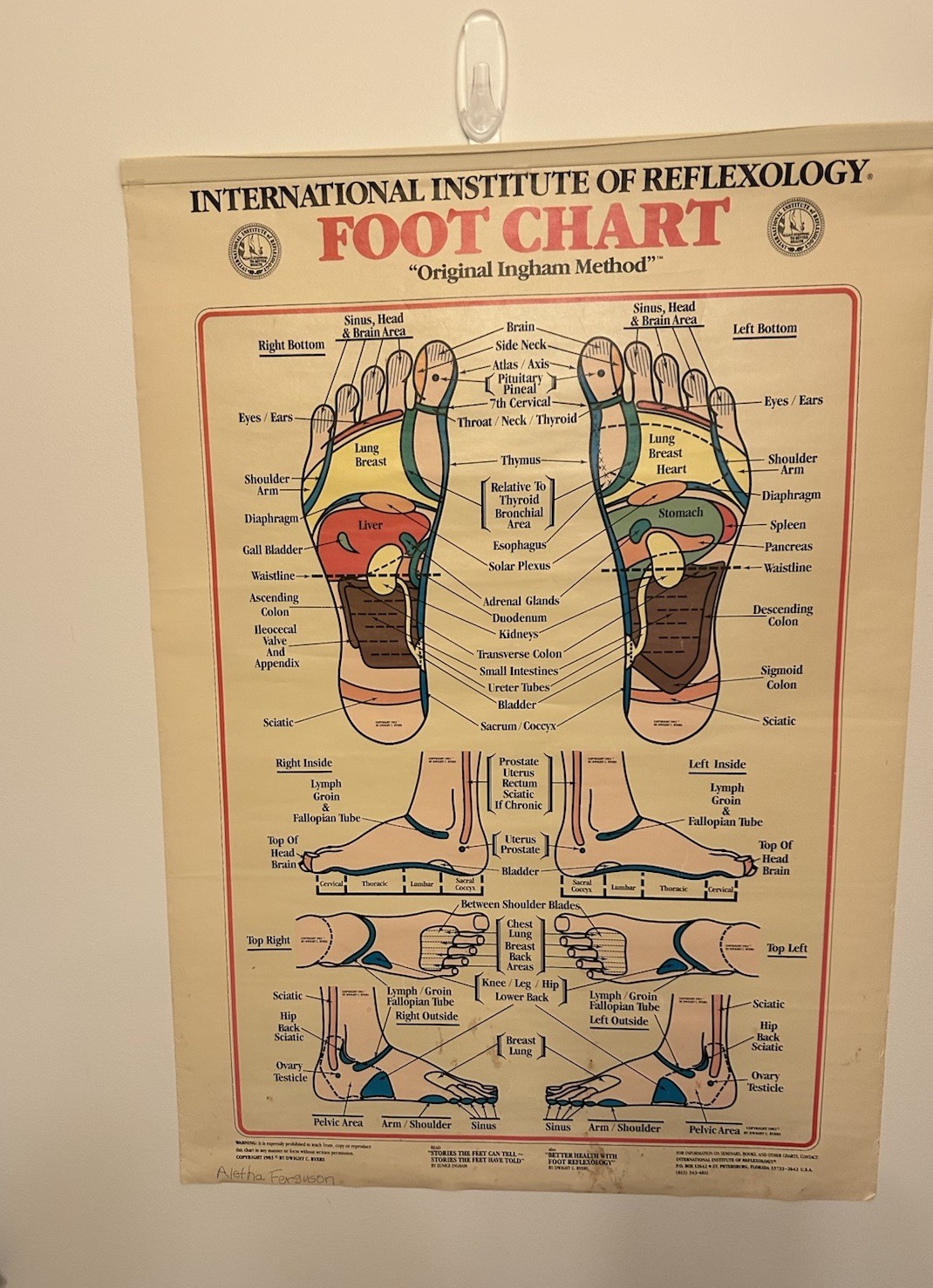 RARE Vintage 1983 Reflexology Poster For Foot. Dwight C. Byers IIR Florida