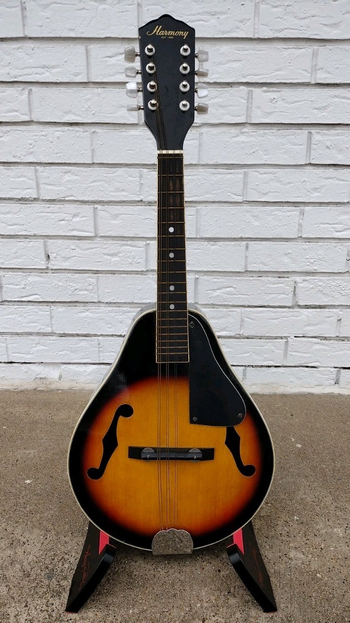 1970's Harmony Mandolin w/Case! -LL