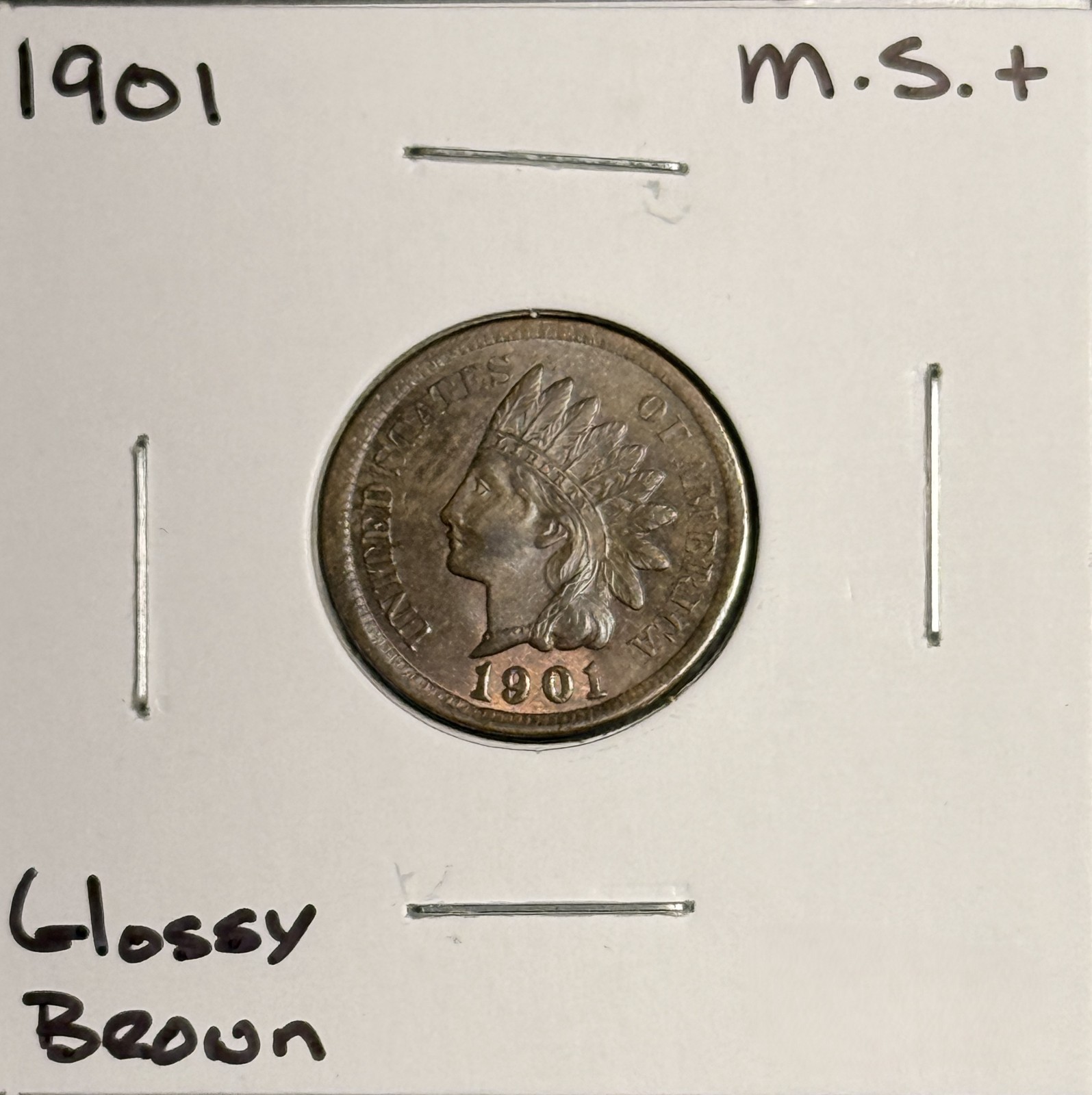 1901 Indian Head Cent, Choice Uncirculated Brown, (19014)