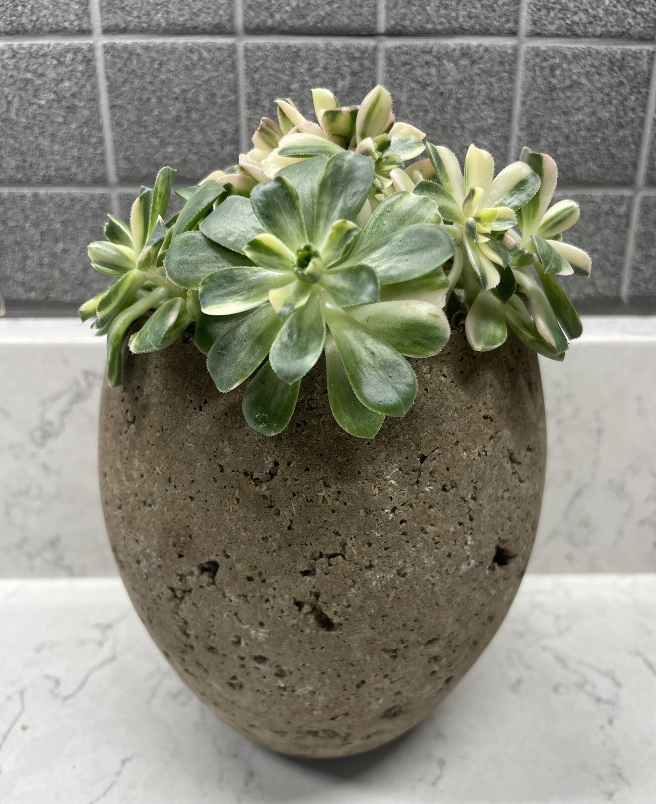 New Handmade Hypertufa Cement Planter Succulent Flower Pot  5"