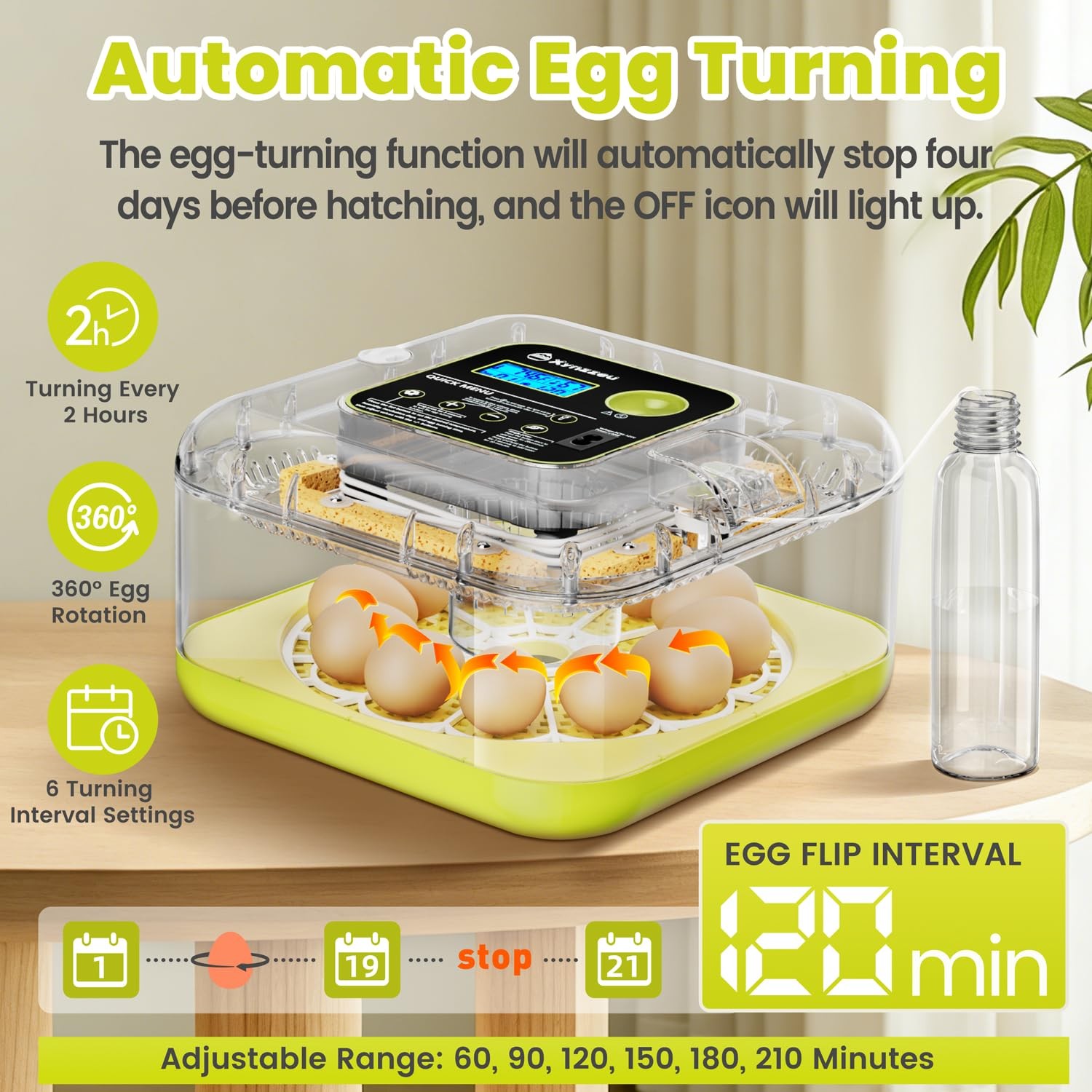 Egg Incubators for Hatching Eggs, 12 Egg Incubator with Automatic Egg Turning...