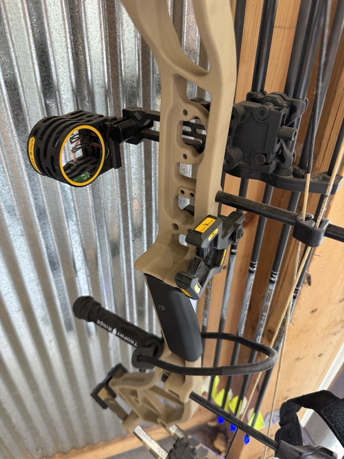 Bear Adapt Compound Bow