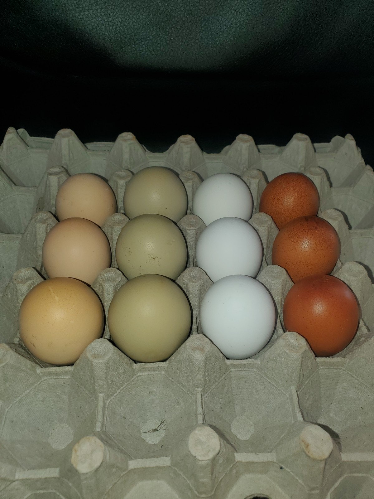 12 Rainbow Chicken Hatching Eggs  Free Ranch Happy Chicken