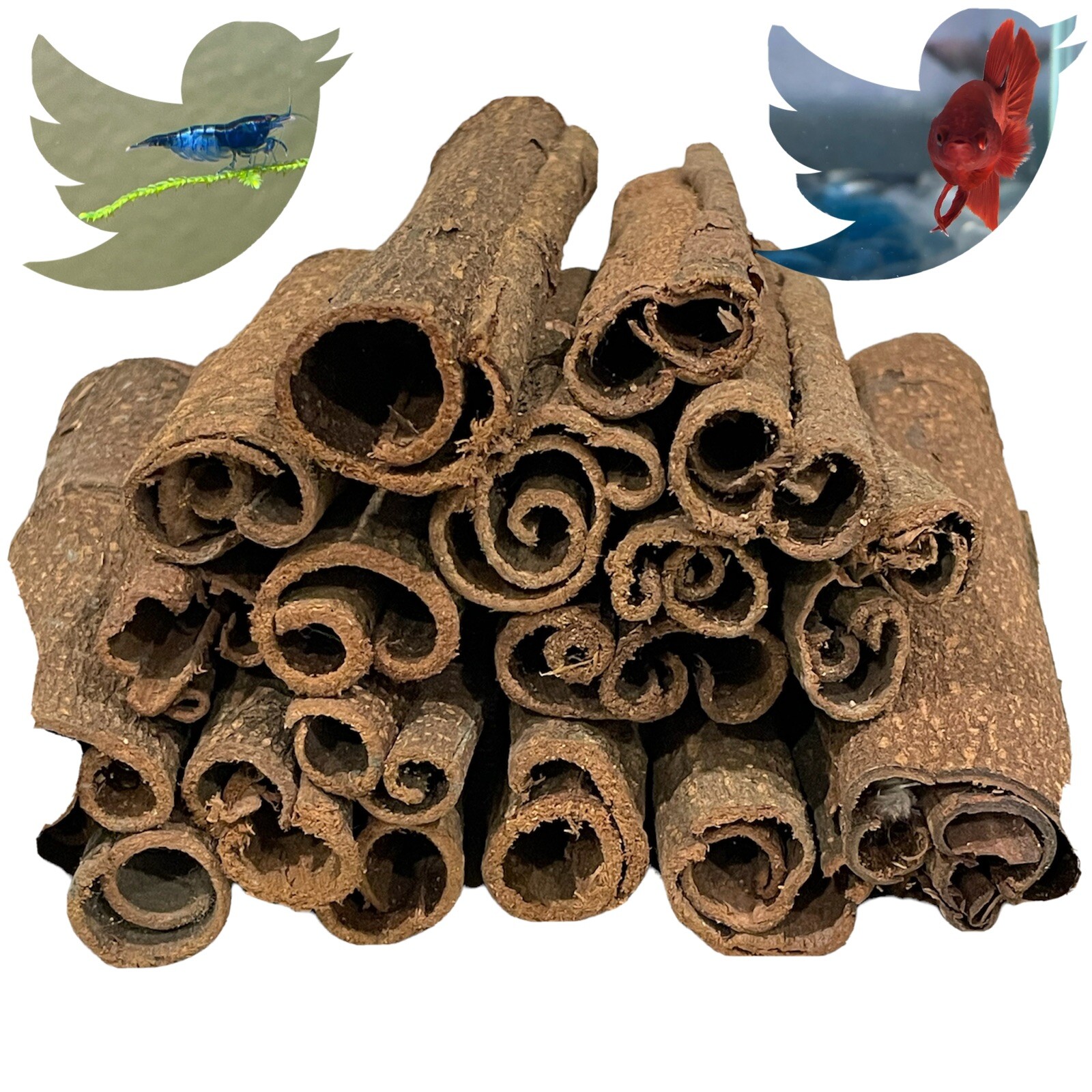 5 Pcs Natural Indian Almond Catappa Bark For  Black Water, Betta, Shrimp, Placos