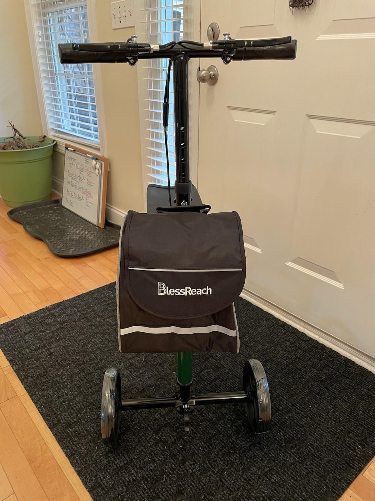 Blessreach Knee Scooter, Steerable, Foldable, Green, With Front Storage