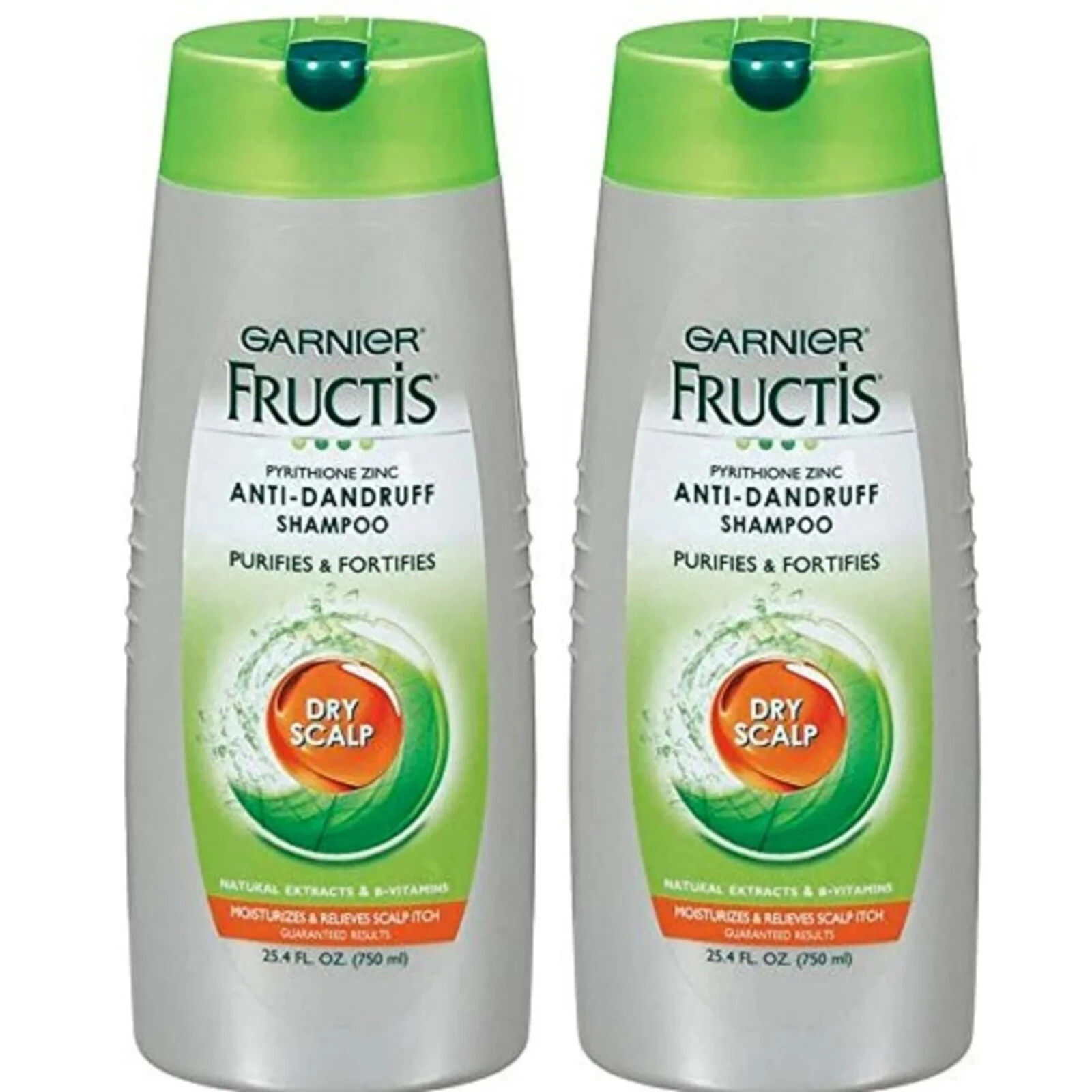 (2) big Garnier Fructis Anti-Dandruff Shampoo Zinc Relieves Dry-Scalp 25.4 oz
