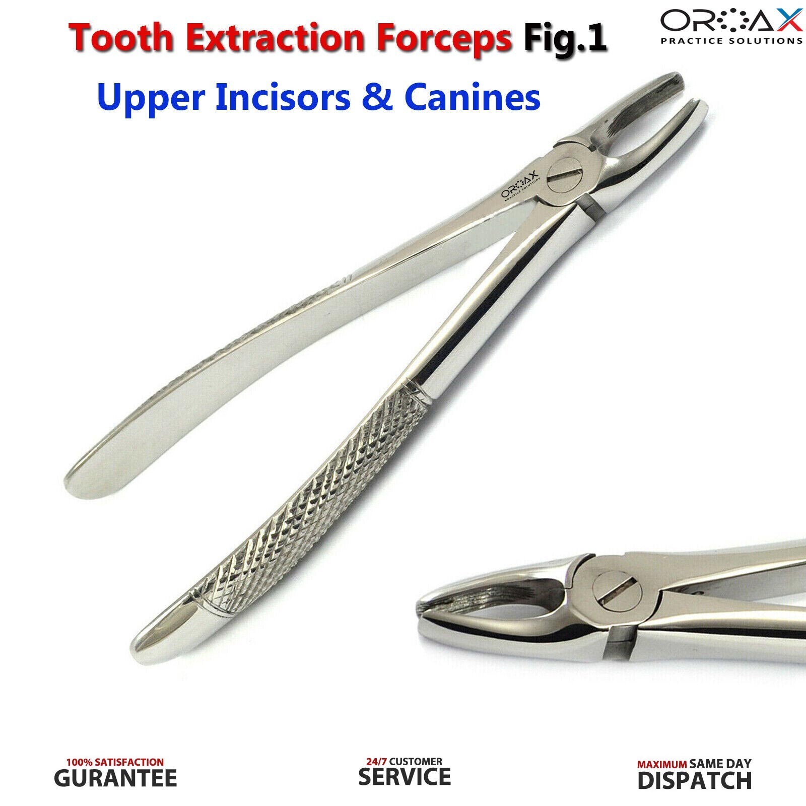 Fig 1 Pinzas para extracción de dientes Caninos centrales superiores Instrumento