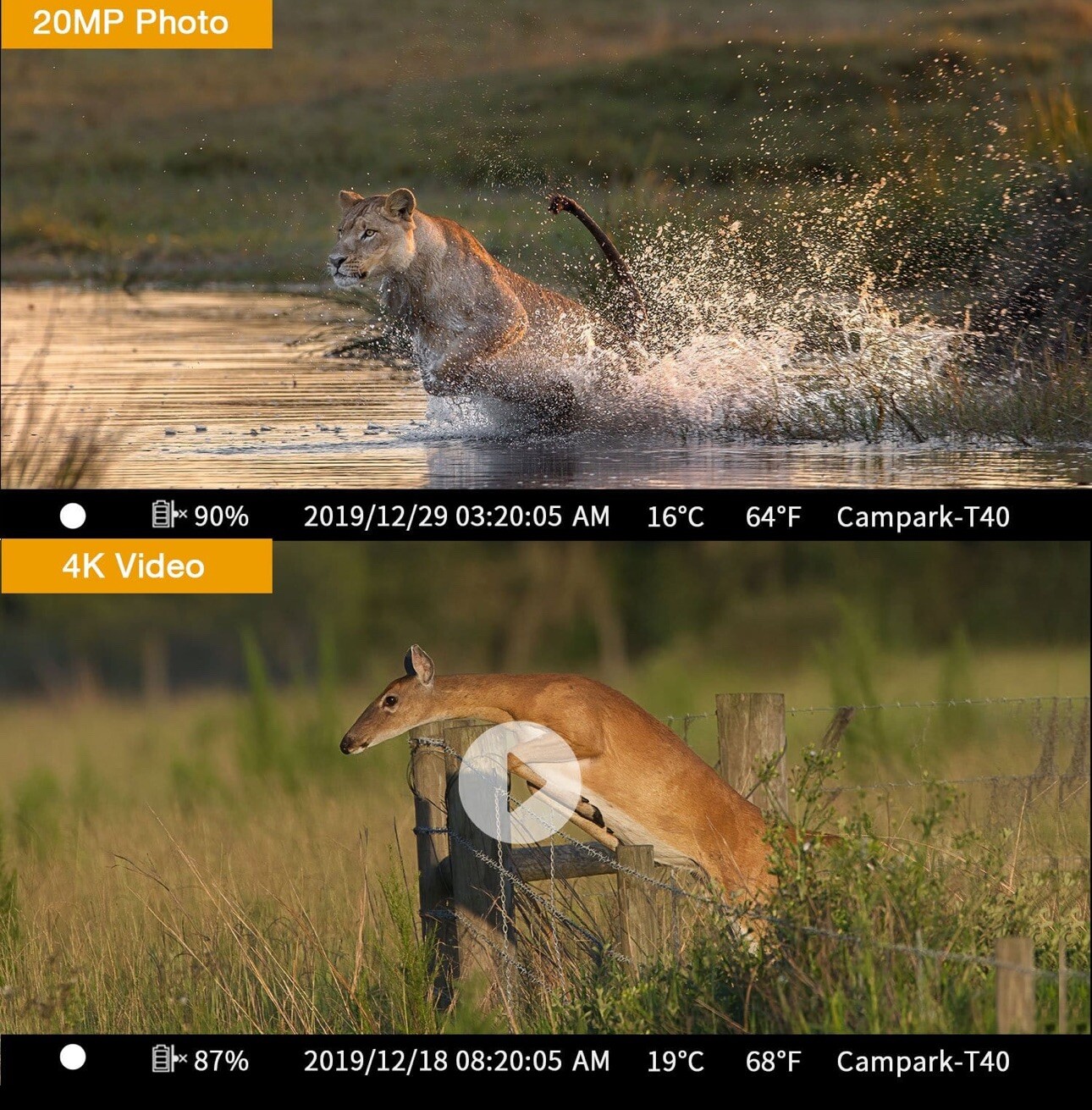 T40A FHD 4K & 42MPTrail Game Camera