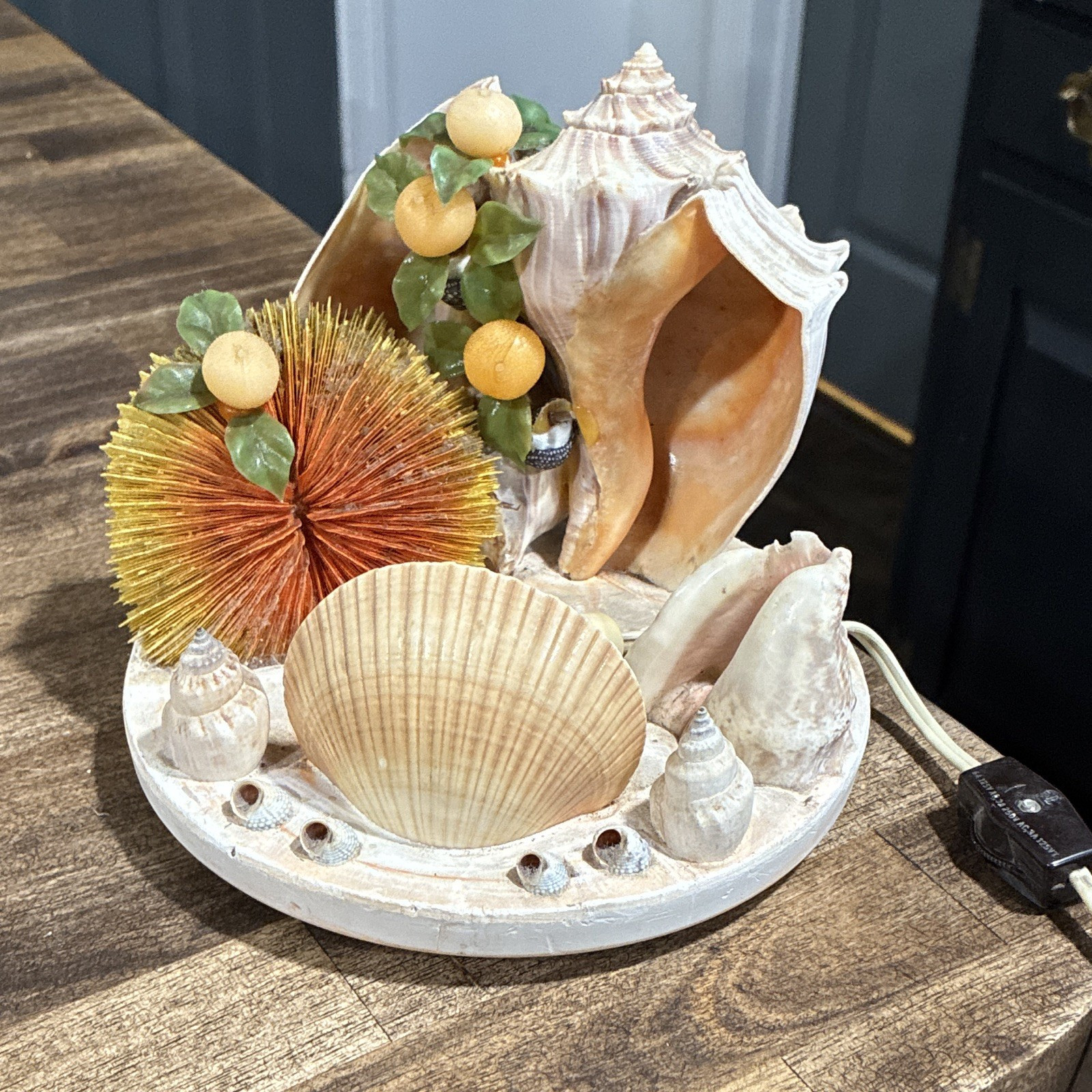 Decorative Seashell Corded Electric Night Light, Warm White, 7in Beach Theme