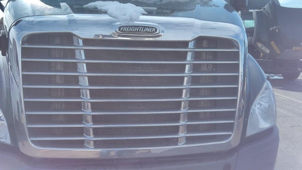 For 2016 FREIGHTLINER CASCADIA 113 2007-2018 GRILLE ,  OH