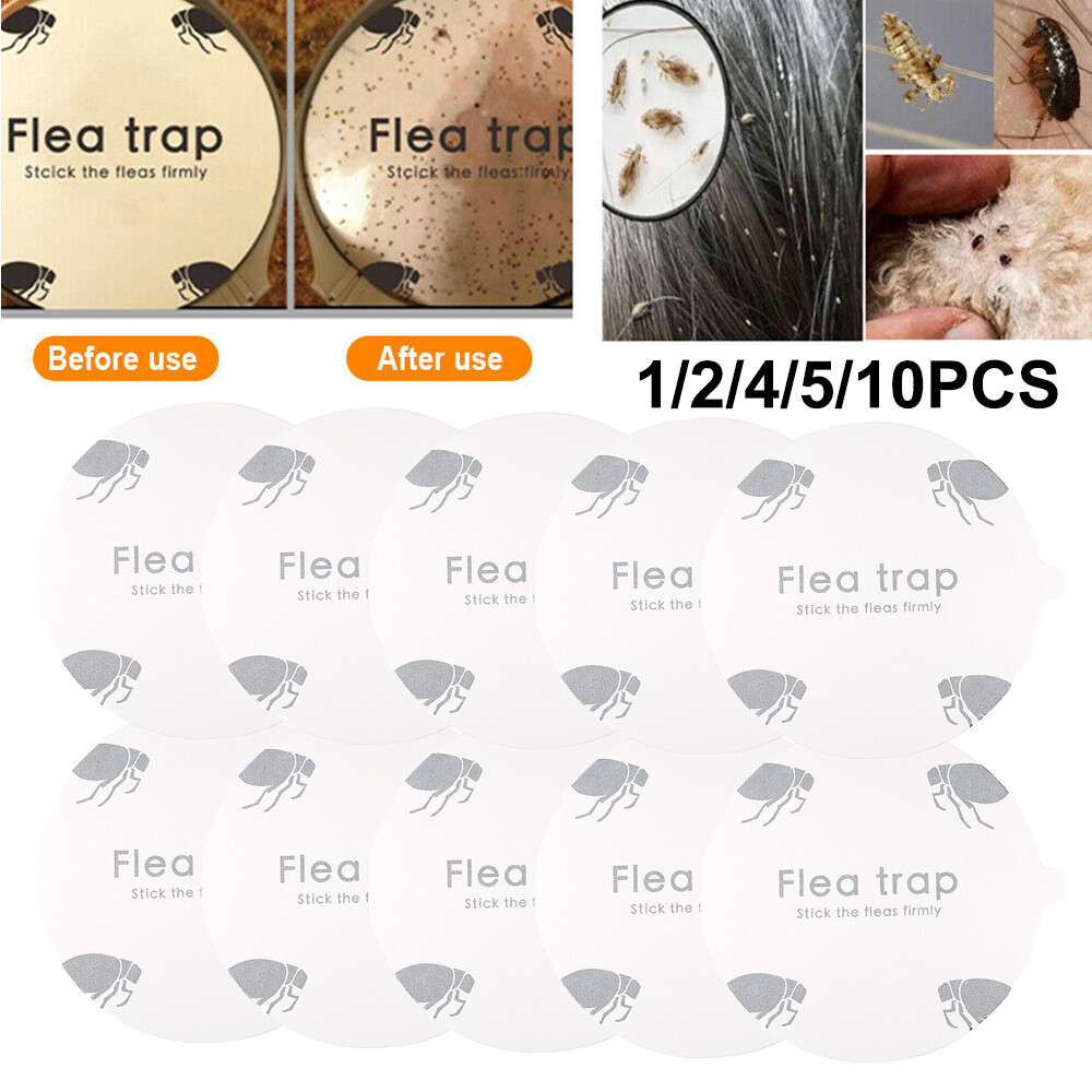 20x Non-Toxic Pad Flea Trap Sticker Sticky Flea Trap Refill Flea Glue Discs