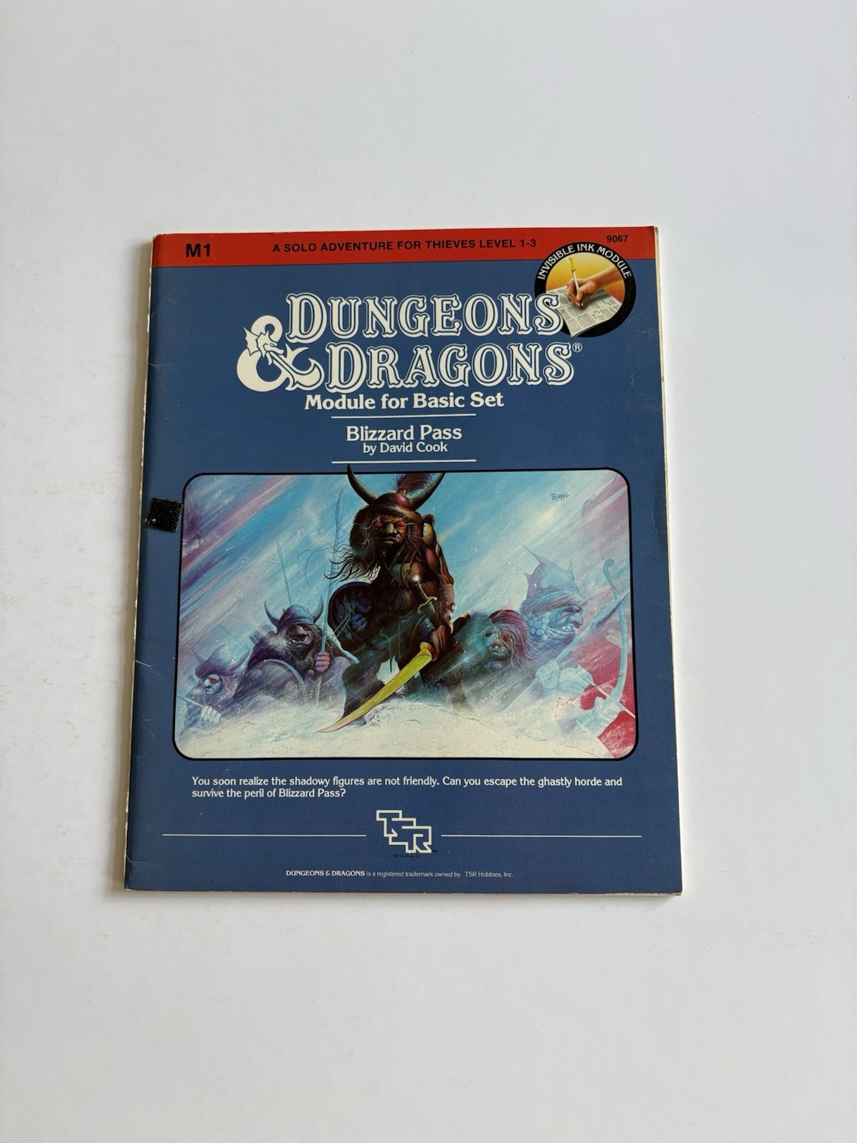 Dungeons and Dragons Blizzard Pass TSR 1983
