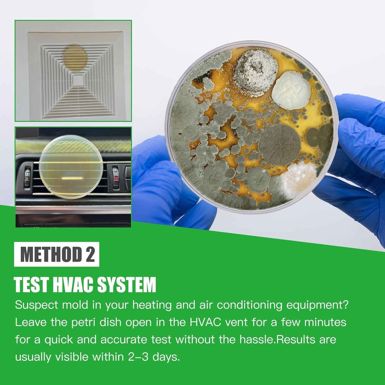 Complete DIY Mold Testing Kit with Free Lab Analysis & Identification Guide