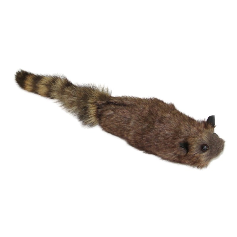 Novelty Simulation Raccoon Magic Trick Illusion Gimmick Magic Learner Preference