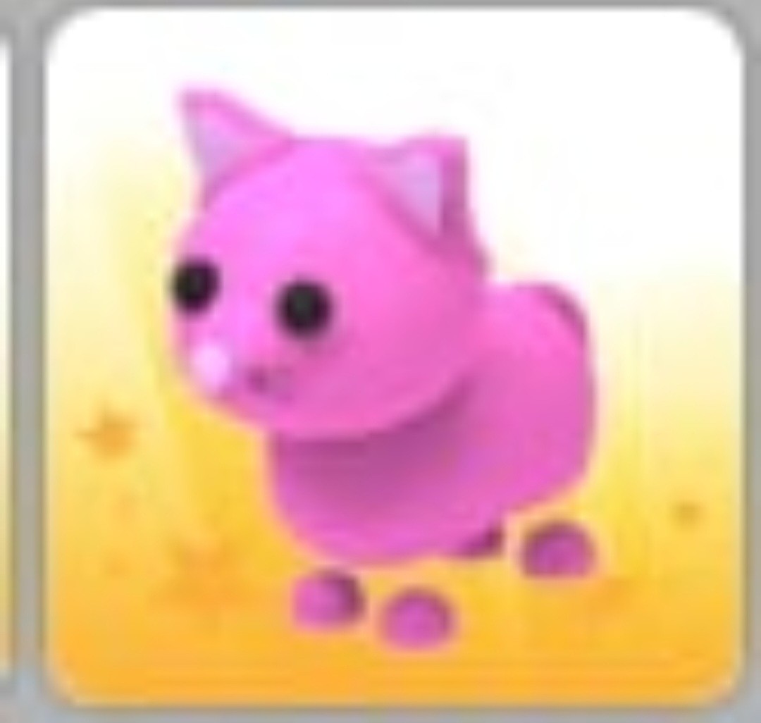 Pink Cat | NFR | Adopt Now