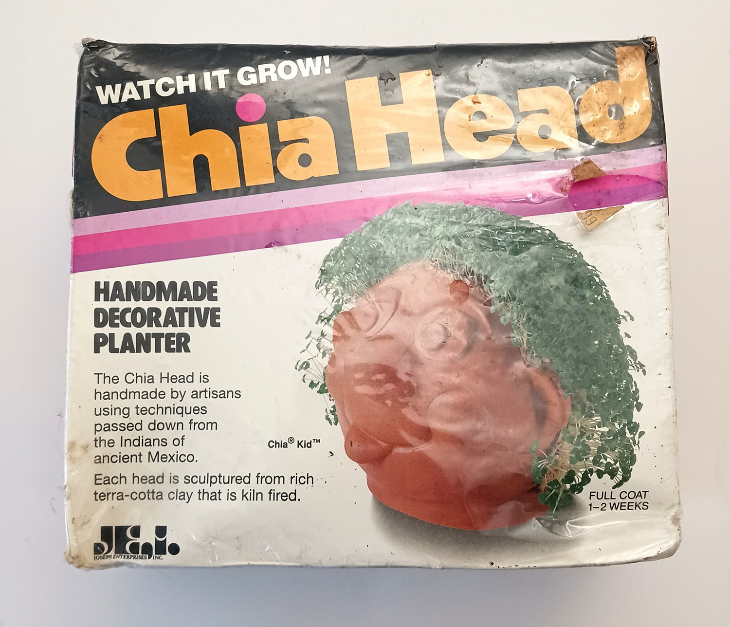 Retro 1996 Chia Head Chia Kid New Unopened Box